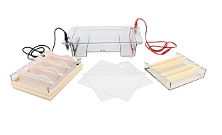 琼脂糖水平电泳仪，如DYCP-31E型号，是实验室分析和研究中常用的一种设备