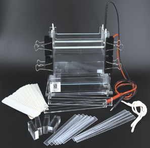 加宽双垂直电泳仪是一种常用的生物化学实验仪器